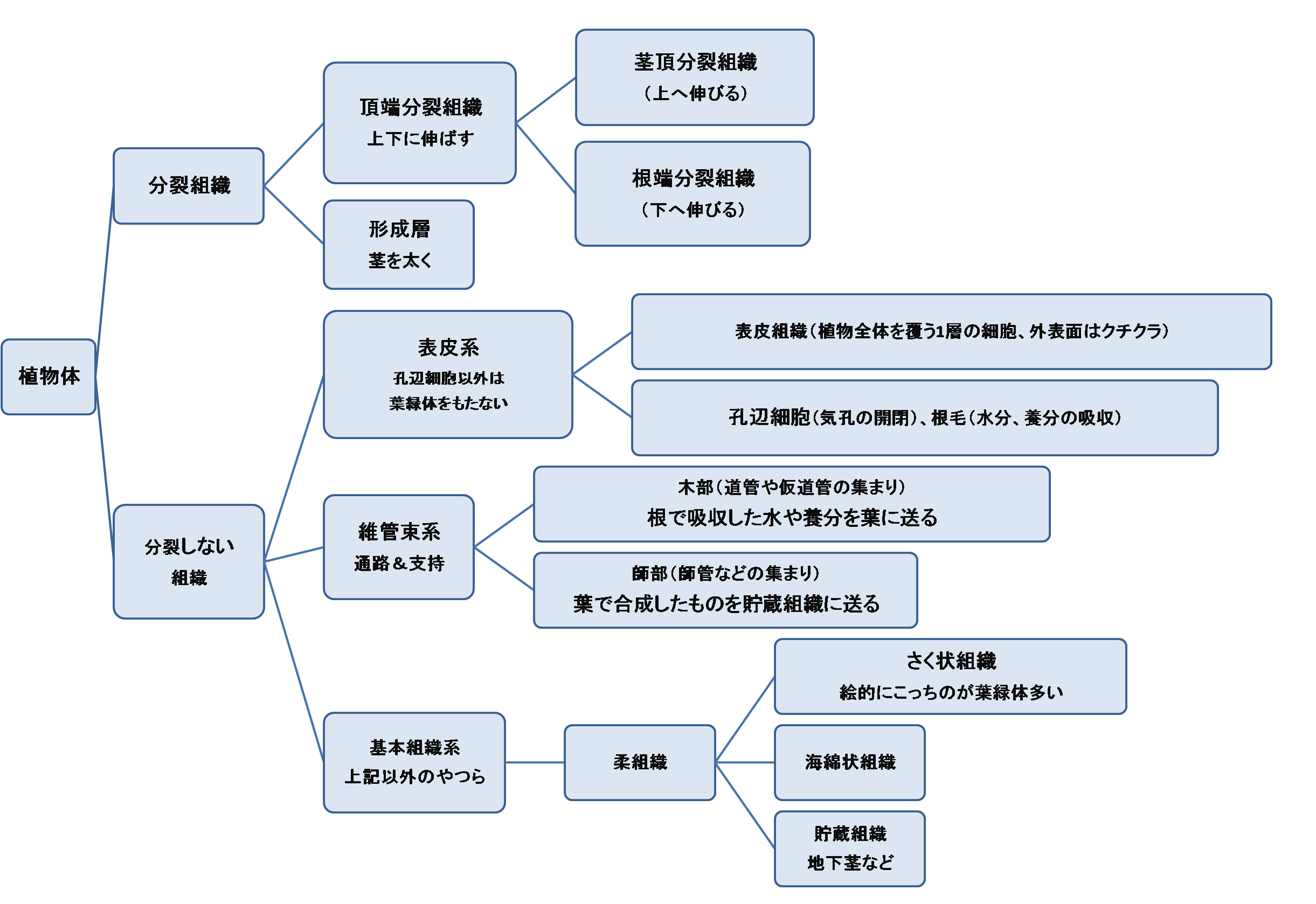 センター生物 お医者さんになろう